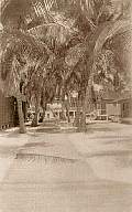 Long Key Fishing Camp